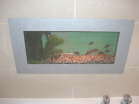 fish tank
