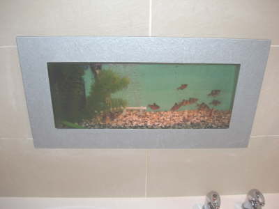 fish tank